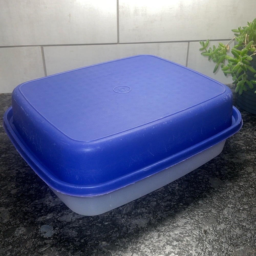 COPY - Large vintage marinator by Tupperware. Blue and white. Preloved. 11x10.